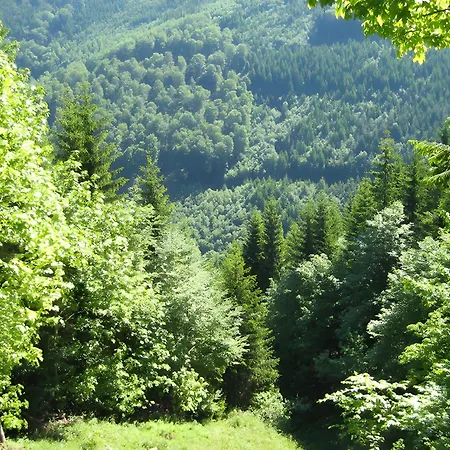 Kammbuehlhof شقة