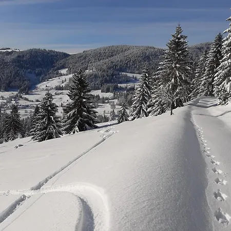 Kammbuehlhof سانت بلاسين