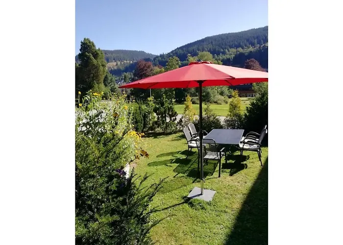 Kammbuehlhof * St. Blasien