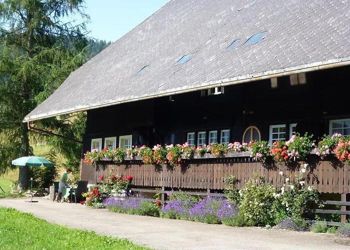 Kammbuehlhof St. Blasien