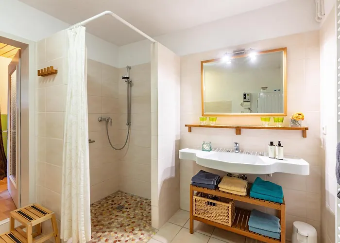 Kammbuehlhof Appartement St. Blasien